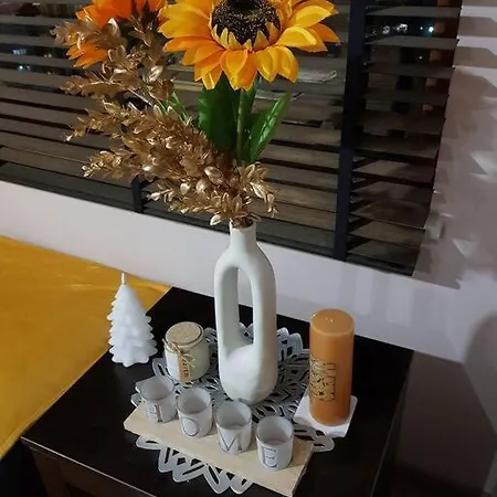 Apartment дима